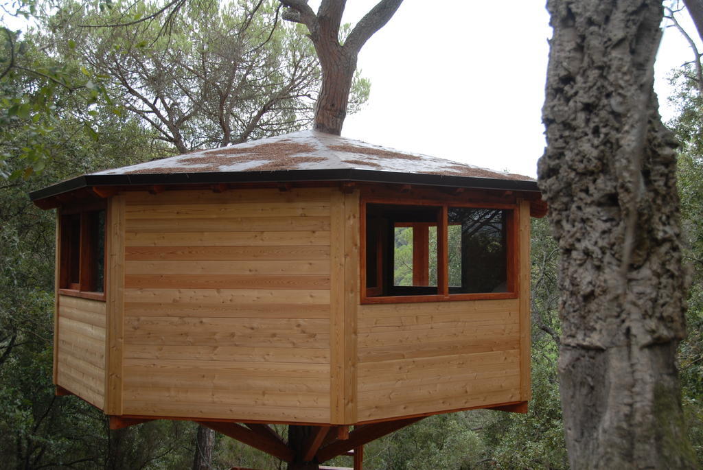 Cabanes Dosrius Canyamás Rum bild